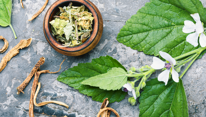 Préparations officinales